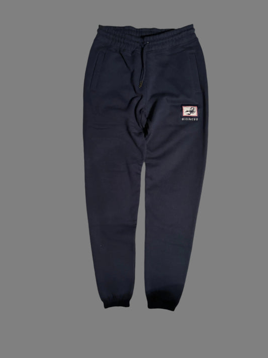 Winter Games Fleece Joggers | winter-games-fleece-joggers | pants